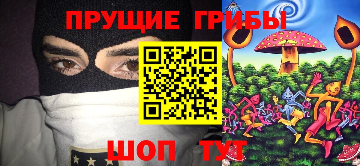 Галлюциногенные грибы мицелий  наркотики  Галлюциногенные грибы Cubensis  Свободный  Вход с VPN 